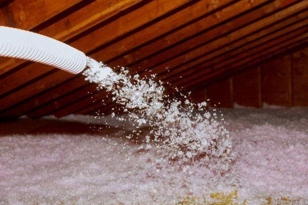Best Insulation Maintenance and Repair in Mount Airy, NC